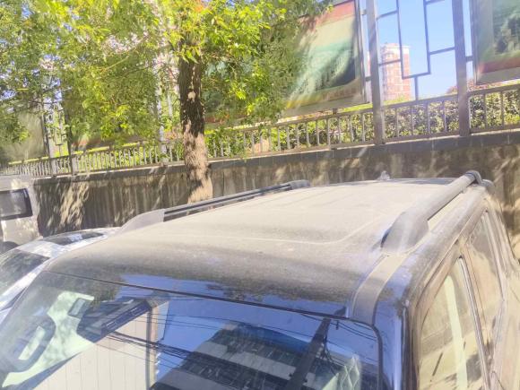 [武汉·鄂A] 二手坦克坦克3002021款 越野版 2.0T 挑战者