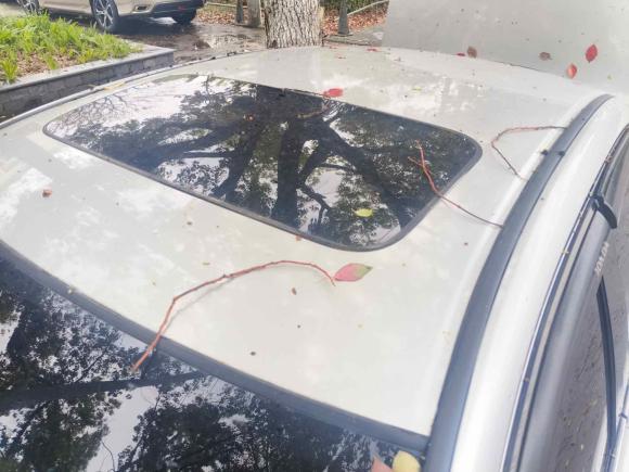 [苏州·苏E] 二手本田雅阁2011款 2.0L EX