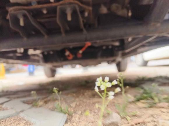 [青岛·鲁B] 二手五菱汽车宏光MINIEV2022款 轻松款 磷酸铁锂