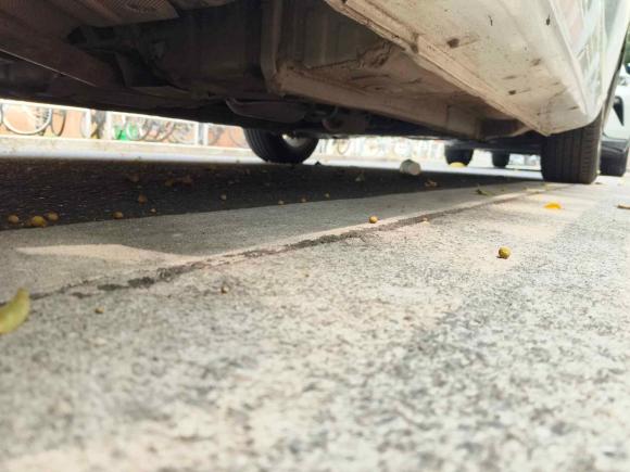 [佛山·粤E] 二手吉利汽车帝豪2021款 UP 1.5L CVT豪华型