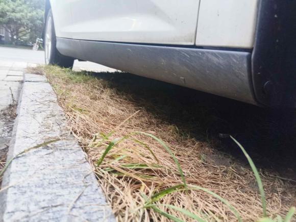 [苏州·苏E] 二手福特福克斯2018款 三厢经典 1.6L 手动风尚型智行版