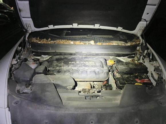 [武汉·鄂A] 二手Jeep自由光2016款 2.4L 优越版