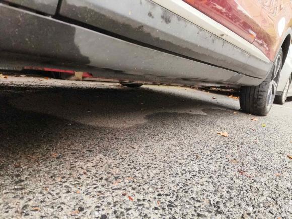 [上海·沪A] 二手名爵名爵EZS纯电动2019款 E-Pro版