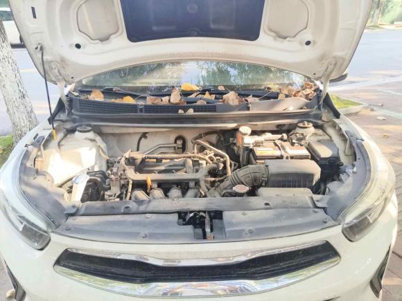 [南昌·赣C] 二手起亚奕跑2019款 1.4L 自动趣享版 国V