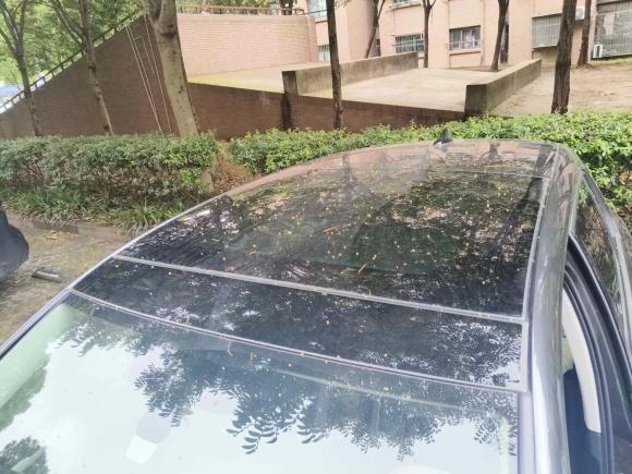 [上海·沪G] 二手大众高尔夫2023款 改款 280TSI DSG Pro