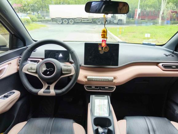 [合肥·皖A] 二手比亚迪海鸥2024款 荣耀版 305km 活力版