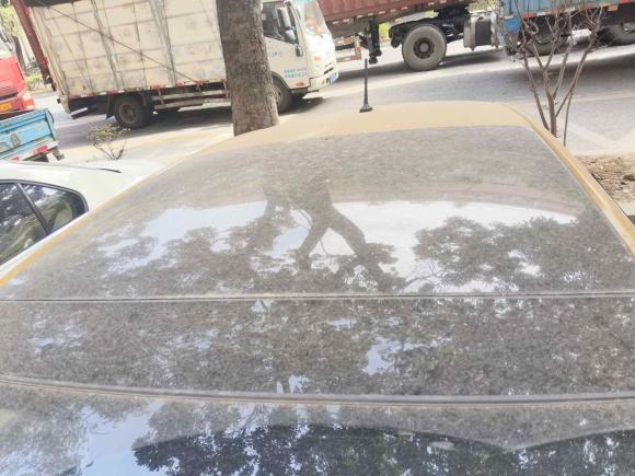 [佛山·鄂S] 二手大众Polo2019款 Plus 1.5L 自动炫彩科技版