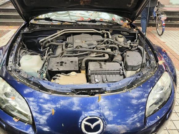 [上海·沪A] 二手马自达马自达MX-52009款 2.0