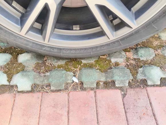 [青岛·鲁B] 二手奥迪奥迪Q5L2018款 40 TFSI 荣享时尚型 国V