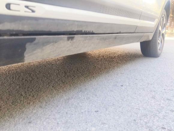 [苏州·苏E] 二手长安长安CS152019款 1.5L 自动旗舰型 国V