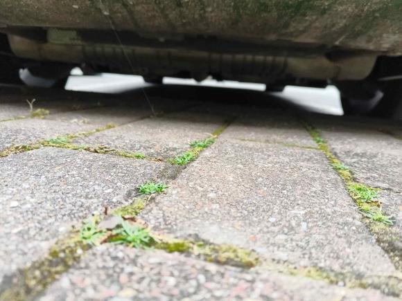 [上海·沪A] 二手标致标致508L新能源2021款 1.6T 插混科技版