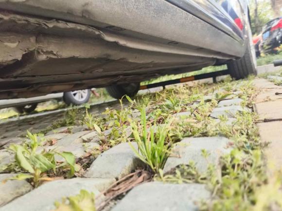 [嘉兴·贵C] 二手大众辉腾2011款 3.6L V6 5座加长舒适版