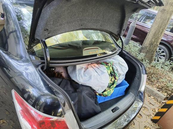 [深圳·川A] 二手本田雅阁2010款 2.0L EX