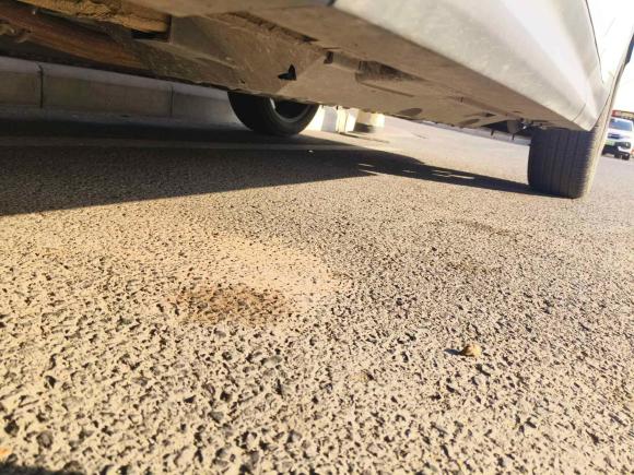 [青岛·鲁B] 二手奔腾奔腾T992023款 2.0T 自动尊享型（6AT）