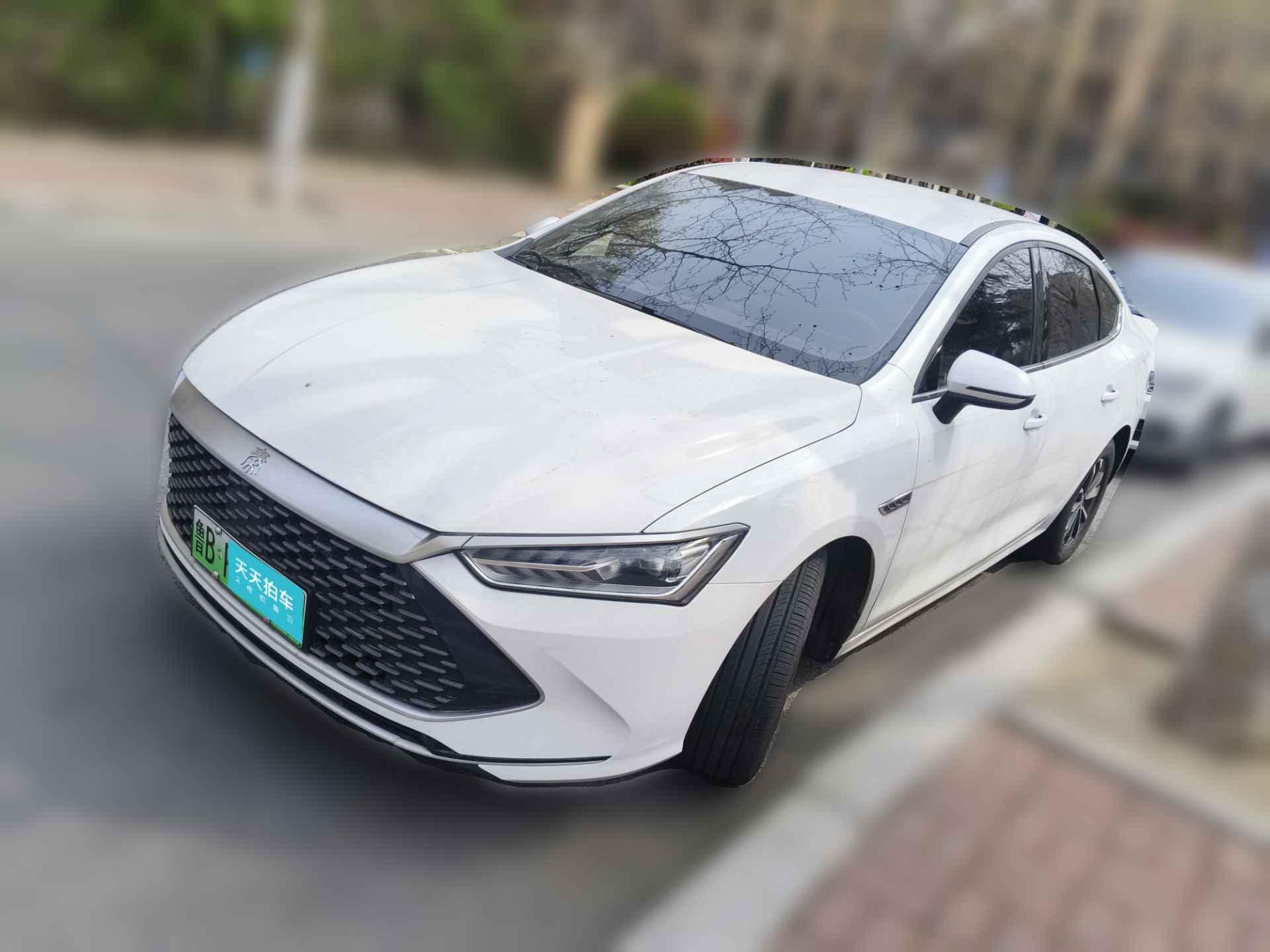 [青岛·鲁B] 比亚迪秦PLUS2024款 荣耀版 DM-i 55KM领先型