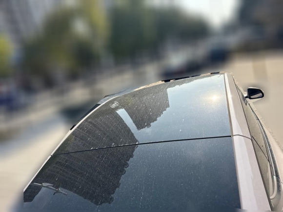 [温州·浙C] 二手特斯拉Model Y2022款 后轮驱动版