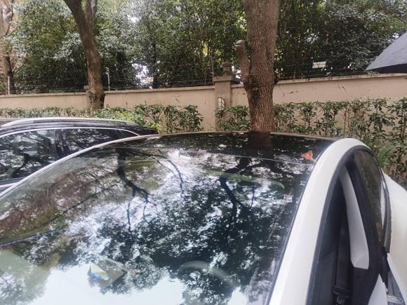 [上海·沪B] 二手特斯拉Model Y2025款 后轮驱动 首发版