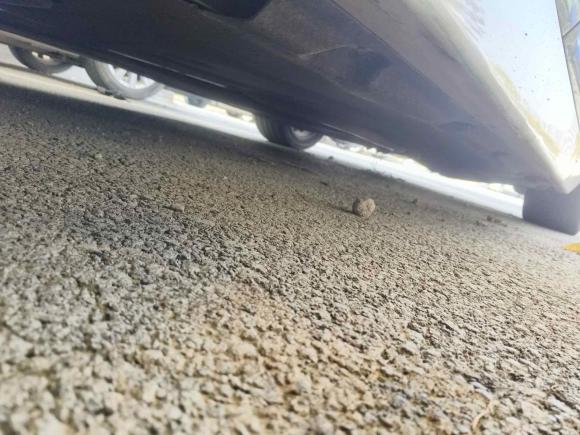 [嘉兴·浙F] 二手宝马宝马5系2014款 525Li 豪华设计套装