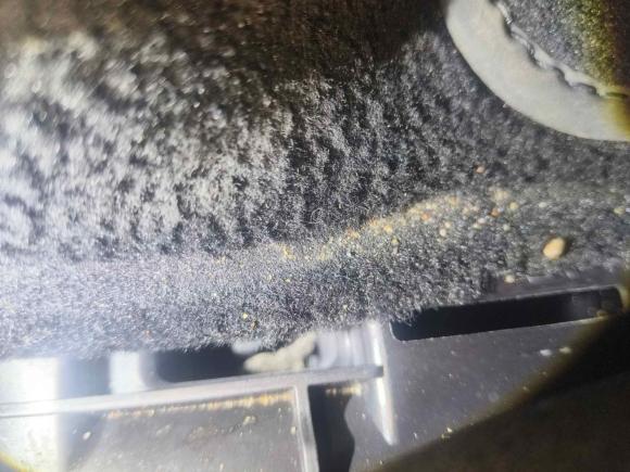 [深圳·粤B] 二手奔驰奔驰G级AMG2020款 AMG G 63 暗影之翼特别版