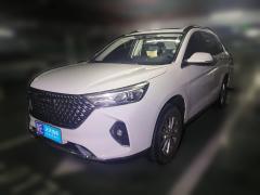 [佛山·粤E]哈弗&nbsp;&nbsp;哈弗M6&nbsp;&nbsp;2021款 PLUS 1.5T 手动豪华智联型