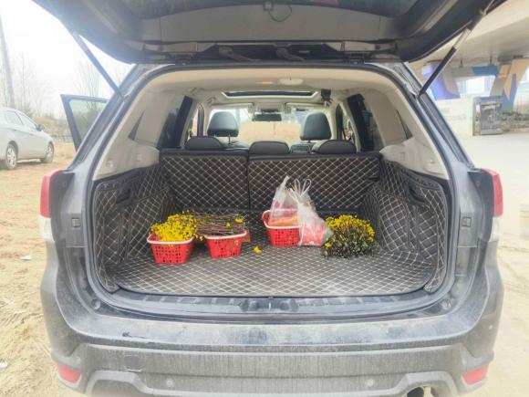 [武汉·鄂A] 二手斯巴鲁森林人2020款 2.0i 豪华版EyeSight