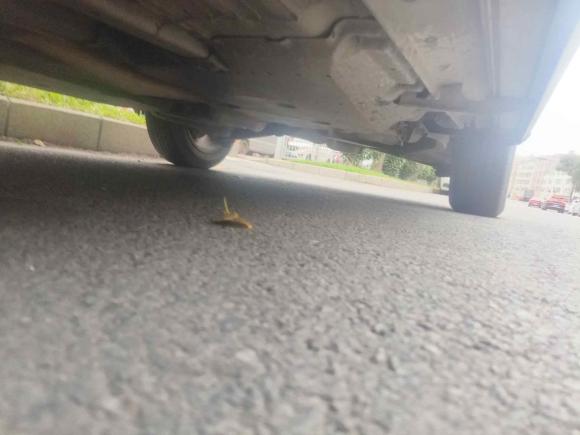 [深圳·桂R] 二手日产逍客2019款 2.0L CVT智享版