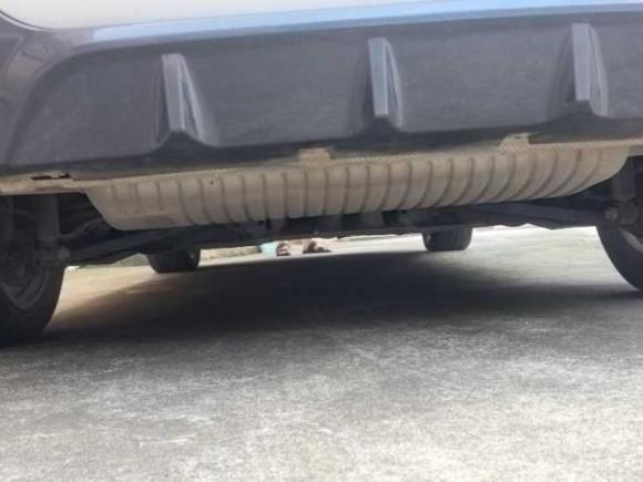 [湖州·沪E] 二手宝马宝马1系2020款 120i M运动套装