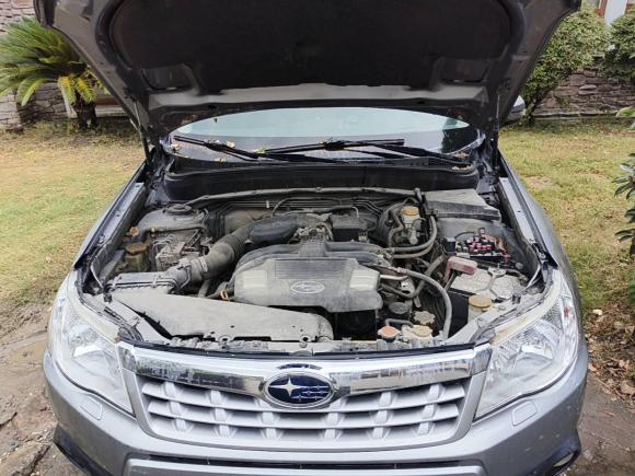 [上海·沪K] 二手斯巴鲁森林人2011款 2.5XS 自动豪华版