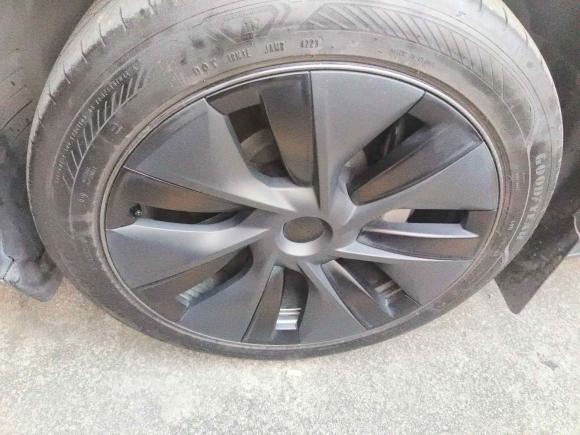 [广州·粤A] 二手特斯拉Model Y2023款 后轮驱动版