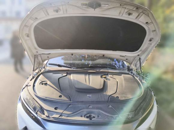 [无锡·苏B] 二手比亚迪汉2020款 EV 四驱高性能版旗舰型