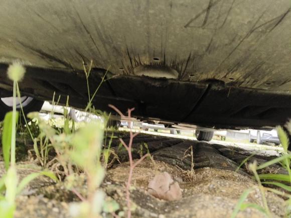 [苏州·苏U] 二手丰田雷凌2023款 智能电混双擎 1.8L 领先版