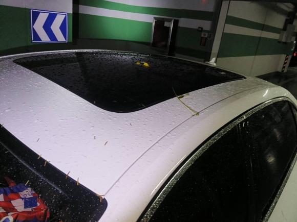 [青岛·鲁B] 二手奥迪奥迪A4L2020款 40 TFSI 豪华动感型