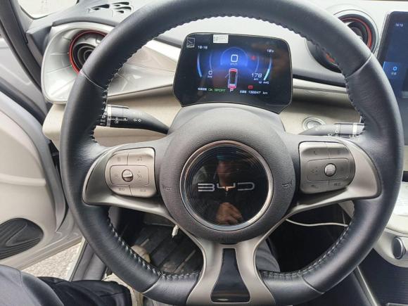 [上海·沪A] 二手比亚迪海豚2021款 405km 自由版