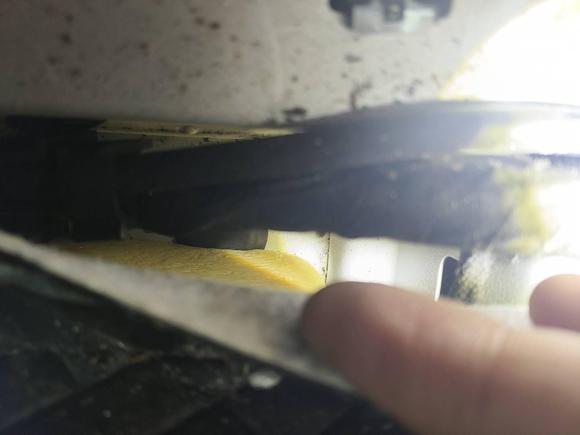 [成都·川A] 二手睿蓝汽车枫叶80v2021款 优行版 三元锂