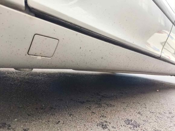 [上海·沪C] 二手奔驰奔驰S级2004款 S 350