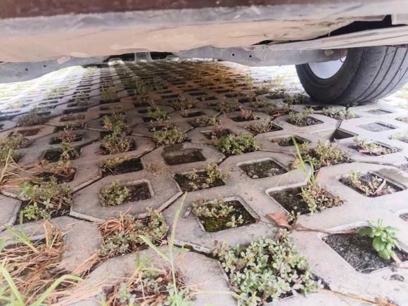 [成都·川F] 二手大众凌渡2019款 280TSI DSG舒适版 国VI