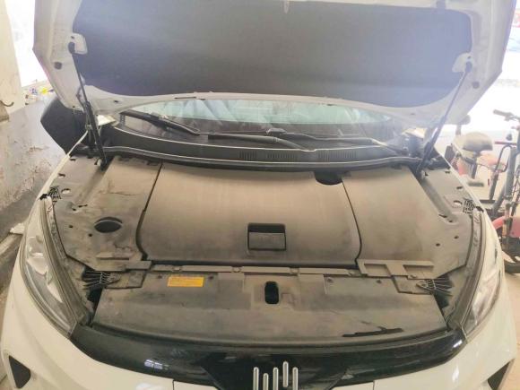 [青岛·鲁B] 二手威马汽车威马EX52020款 EX5 400 即客行版