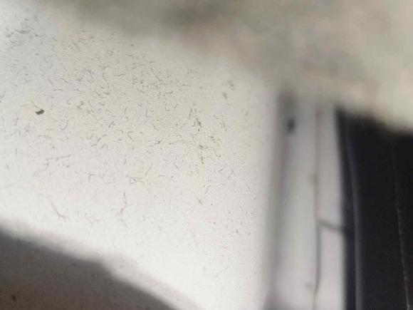 [深圳·粤B] 二手吉利几何吉利几何A2021款 Pro 臻享高能续航版 600KM A600立方版