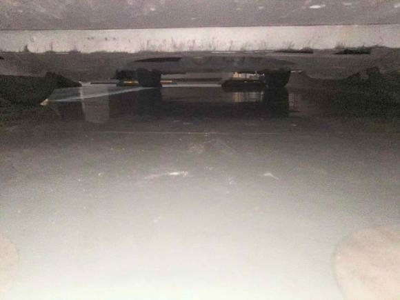 [上海·沪M] 二手大众高尔夫2012款 1.6 自动舒适型