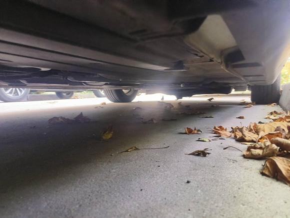 [青岛·鲁U] 二手福特福克斯2018款 三厢经典 EcoBoost 125 自动超能风尚型智行版