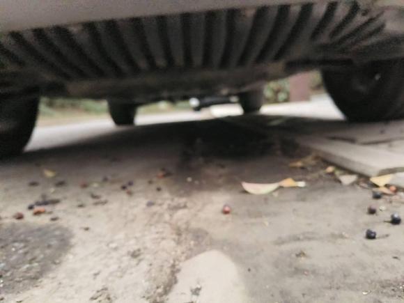 [南京·苏A] 二手奔驰奔驰GLK级2012款 GLK 300 4MATIC 动感型