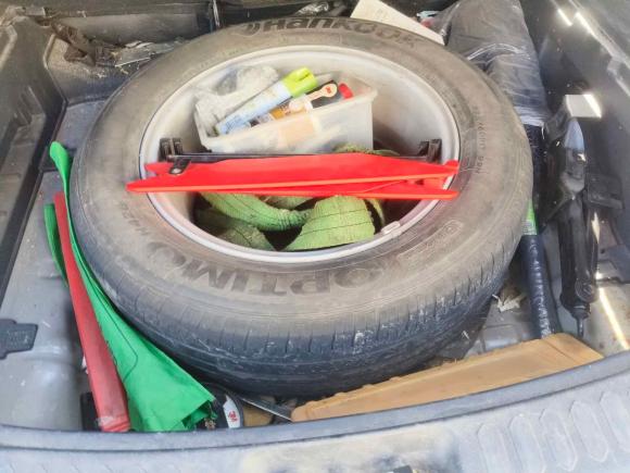 [上海·沪D] 二手起亚智跑2014款 2.0L 自动两驱版GLS