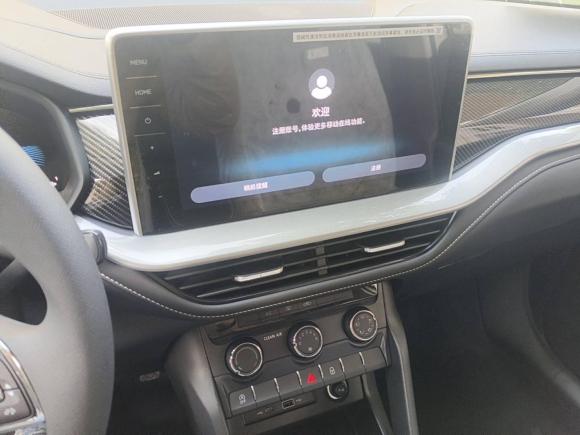 [上海·沪C] 二手斯柯达柯迪亚克2024款 TSI330 5座两驱实力版