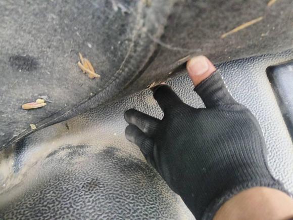 [嘉兴·豫N] 二手东风御风御风2021款 2.0T超值版物流车长轴中顶6-9座国VI D20