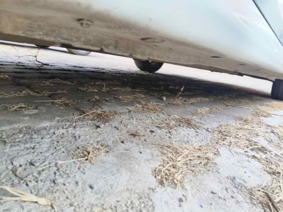 [青岛·鲁B] 二手现代瑞纳2014款 1.4L 手动智能型GLS