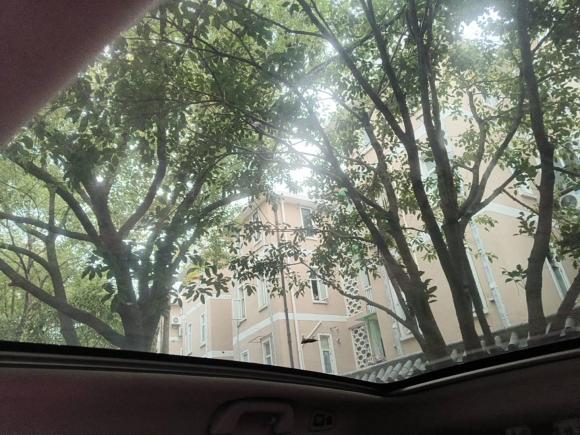 [杭州·浙A] 二手魏牌魏牌 VV52017款 2.0T 超豪型