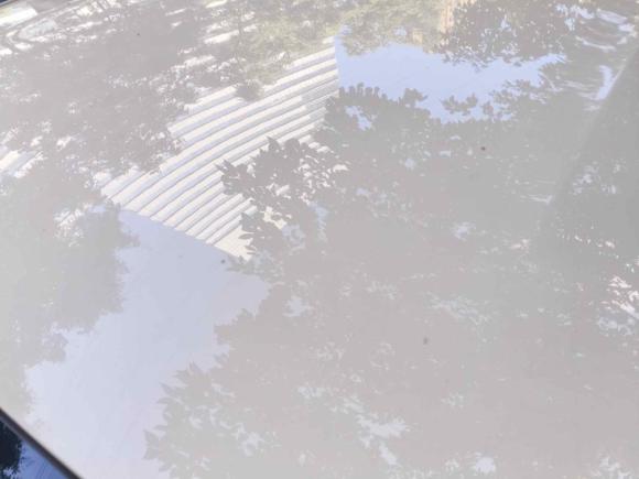 [常州·苏D] 二手比亚迪海鸥2024款 荣耀版 305km 活力版