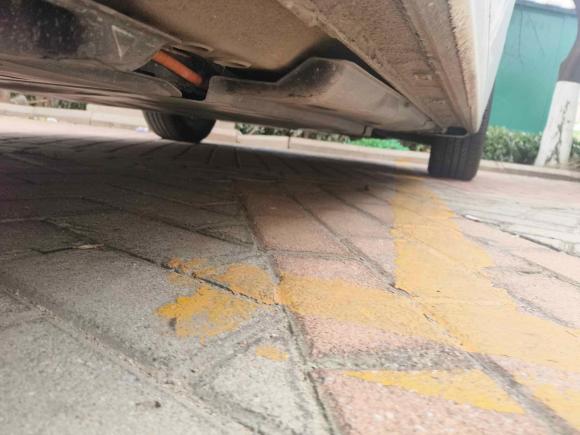 [青岛·鲁B] 二手大众宝来·纯电2020款 尚