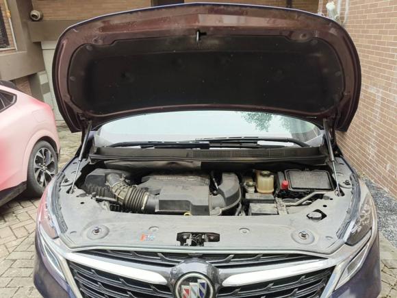 [上海·沪B] 二手别克别克GL82021款 ES陆尊 653T 尊享型