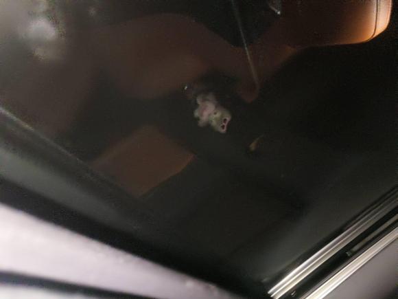 [嘉兴·浙F] 二手长安长安UNI-V2023款 1.5T 运动版